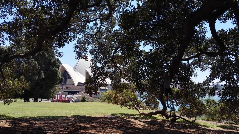 "Abhängen beim Sydney Opera House" (Sydney, Australia)
