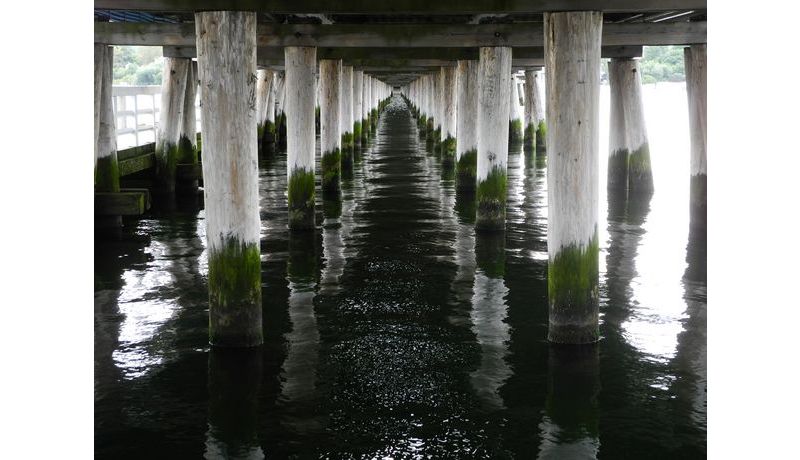 2013: "Under the Pier" (Sopot, Poland), 2nd prize Work Abroad Photo Contest