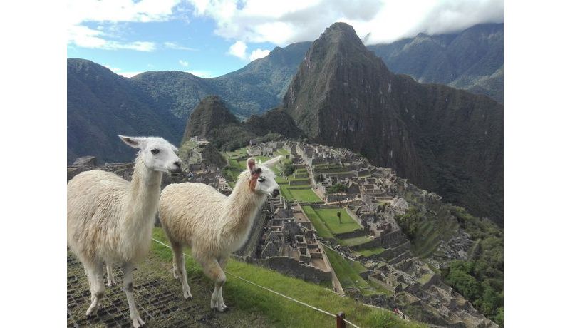 "Schöner als im Prospekt" (Machu Picchu, Peru)
